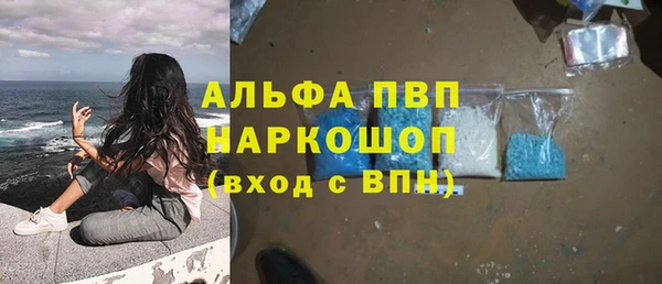 гашик Бородино