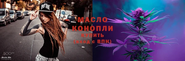 гашик Бородино
