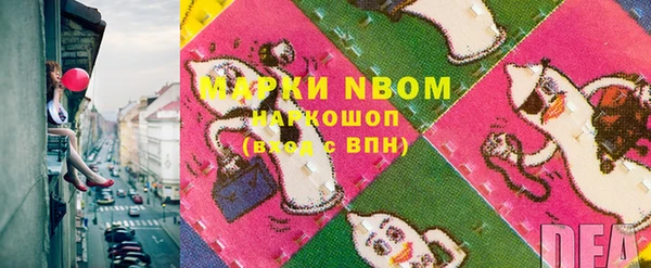 гашик Бородино