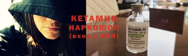 гашик Бородино