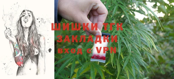 гашик Бородино