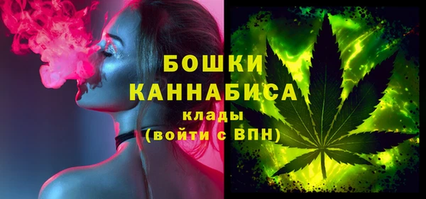 гашик Бородино
