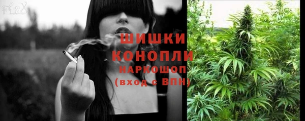 гашик Бородино