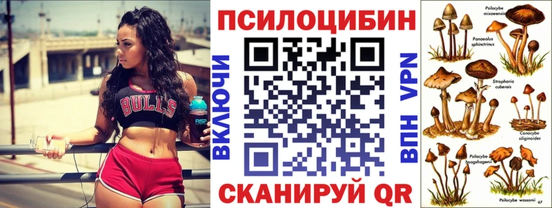 мега ONION  Южноуральск  darknet как зайти  Галлюциногенные грибы Cubensis 