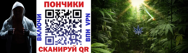 MEGA сайт Южноуральск Бошки Шишки LSD WEED