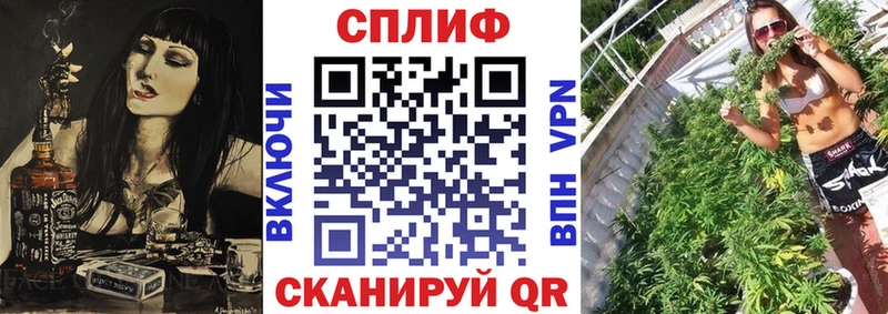 Бошки Шишки MAZAR Южноуральск